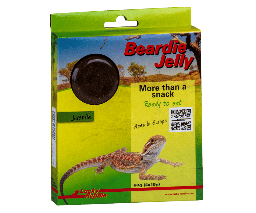 Lucky reptile Beardie jelly
