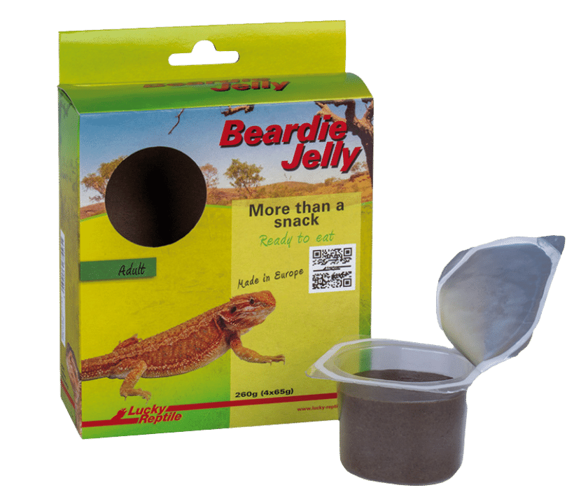 Lucky reptile Beardie jelly Adult