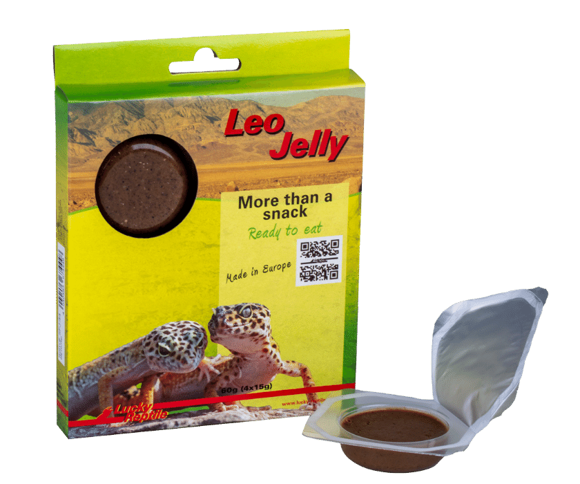 Leo Jelly wurde speziell für die als Heimtier besonders beliebten Leopardgeckos entwickelt.