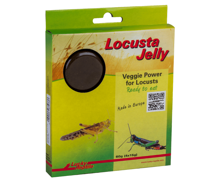 Natürlich ist das Jelly auch für Heuschrecken, die nicht zum Verfüttern gehaltenen werden und andere herbivore (pflanzenfressende) Insekten geeignet.