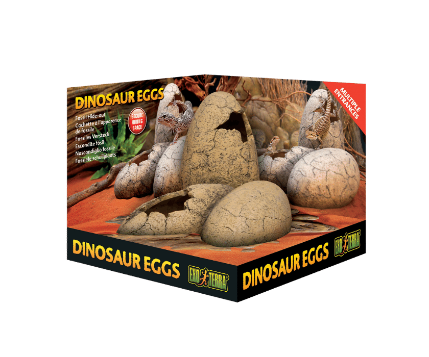 Exoterra Dino egg 1