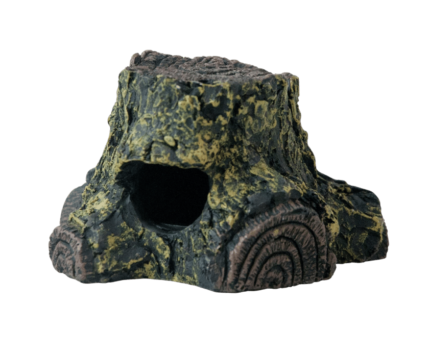 Lucky Reptile Frogcave 3