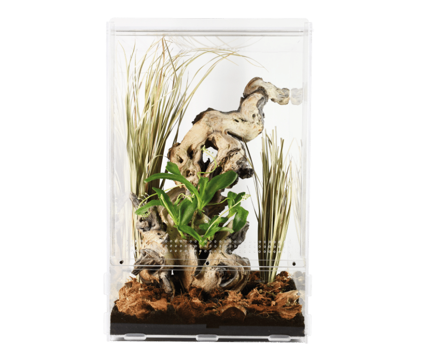 Ramo Di Vite Per Rettili Lucky Reptile - Arredamento Terrario Per Arrampicata E Nascondiglio - Foto 8