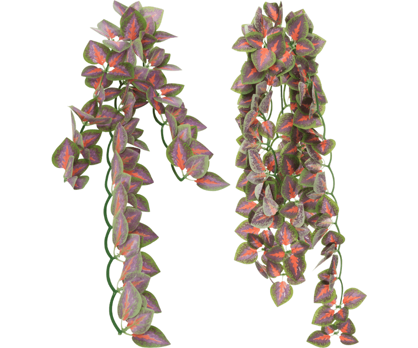 Seiden-Hängepflanze Folium Perillae