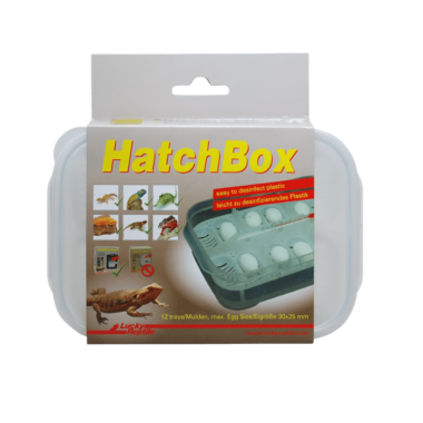 Die Bruttemperatur direkt am Gelege hat man durch dasin der Box integrierte Thermometer immer unter Kontrolle.Eine Hatch Box nimmt max. 12 Eier bis zur Größe von 35x20mm auf. Dabei passen bis zu 10 Boxen in den Lucky ReptileHerp Nursery. Für den Lucky Reptile Egg-O-Bator passt die HatchBox leider nicht.Tipp: Um zu vermeiden, dass das Wasser in der flachen Schale beimHerausnehmen zu sehr schwappt, kann man ein paar Körner Lucky Reptile Aqua Crystals insWasser geben. Durch die Gelstruktur bleibt die Luftfeuchte erhalten, aber ein Umherschwappendes Wassers und damit ein unbeabsichtigtes Benässen der Eier wird vermieden.