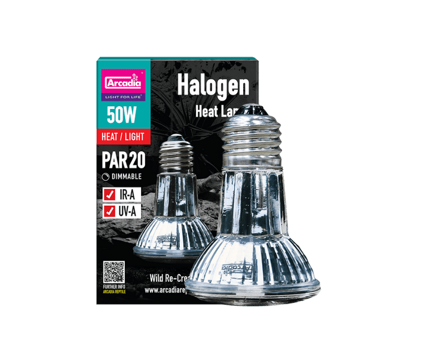 Arcadia Halogen Heat Lamp 1
