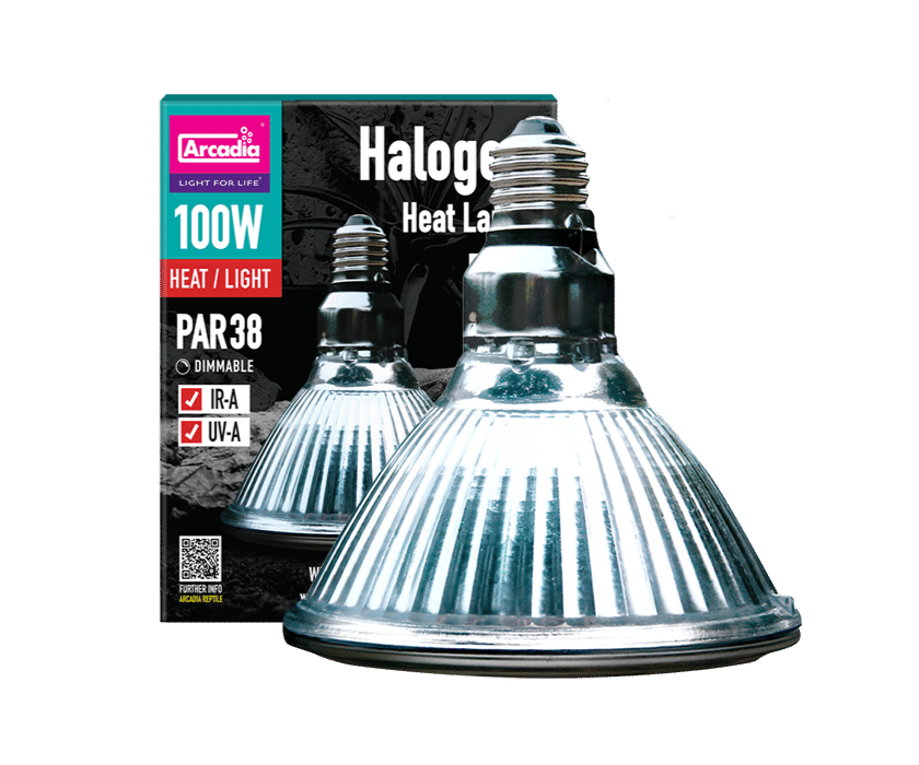 Arcadia Halogen Heat Lamp 3