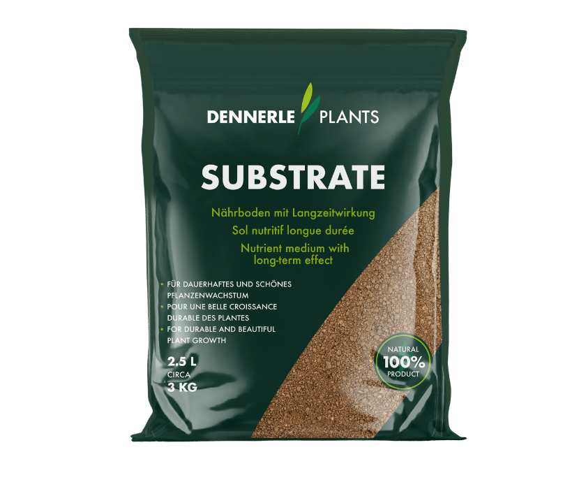Dennerle Substrate 1