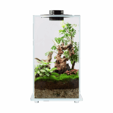 Bioloark Bio-Bottle Led FD200-FD250