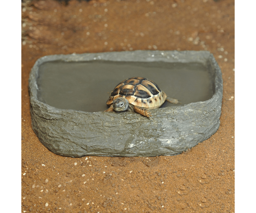 Habistat Tortoise Pool 3