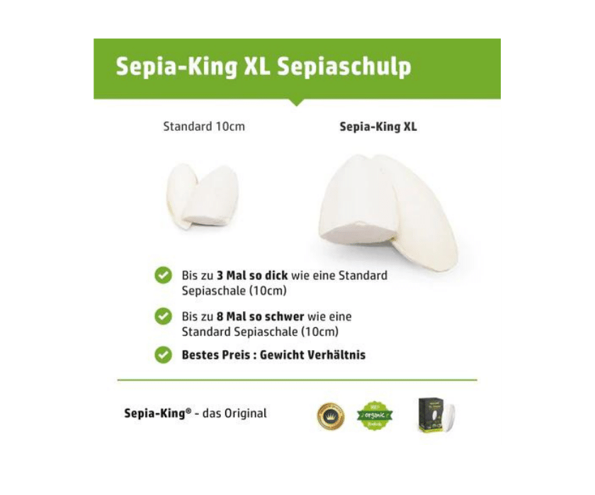 Sepia King XL 3 Stück 2