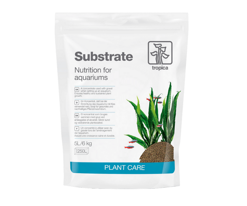 Tropica Substrate 4