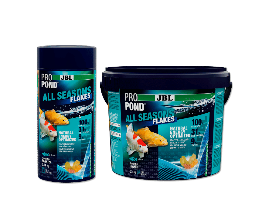 Das Neue All seasons Flakes für Teichfische