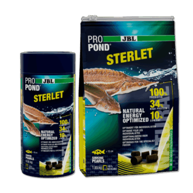 Stör und Bodenfutter für Fische der Propond Linie