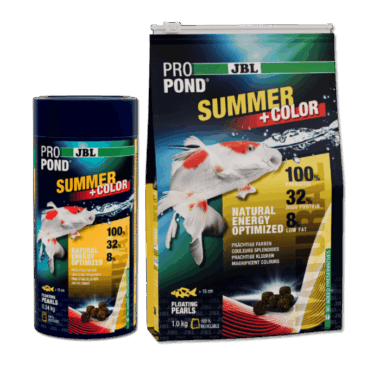 Das neue Sommerfutter für starke Farben