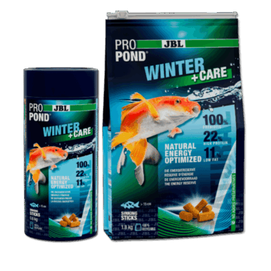 Winterfutter für Koi und andere Teichfischen