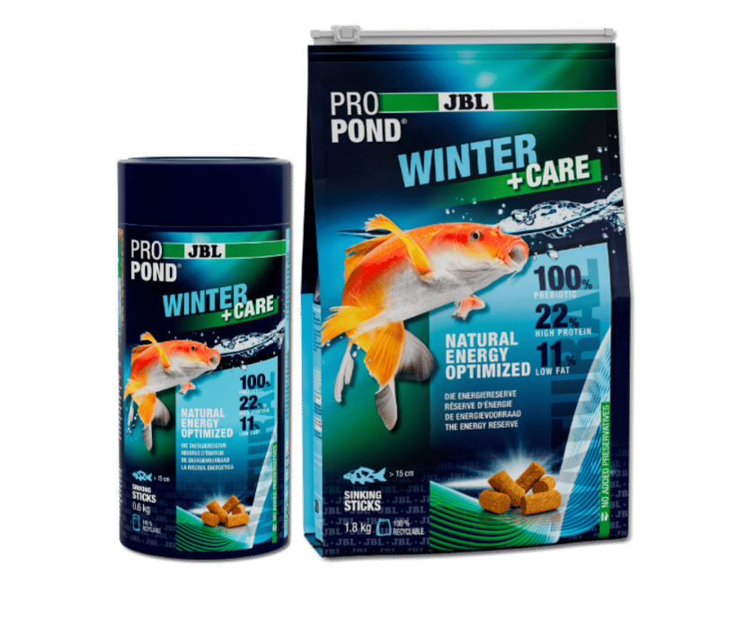 Winterfutter für Koi und andere Teichfischen