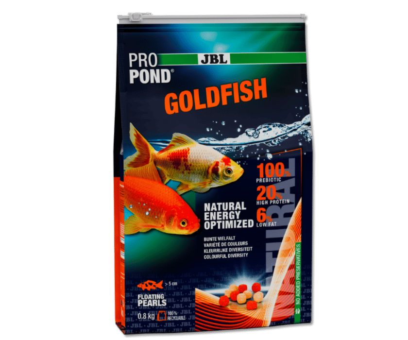 PropondGoldfish 2