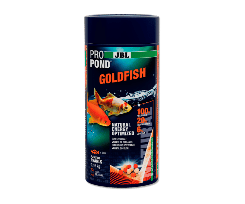 PropondGoldfish