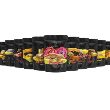 Gecko Nutrition ALLES! KOMPLETTPAKET