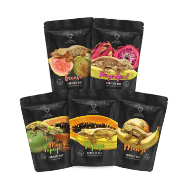 Newcomerset mit dem neuen Guave