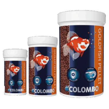 Goldfish Granulat