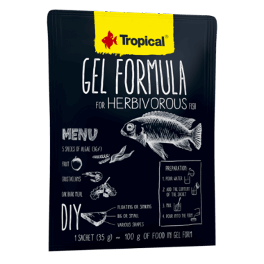 Futter zum selber machen