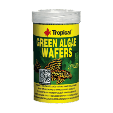 Hochwertige Wafer für Putzerfische aller Art