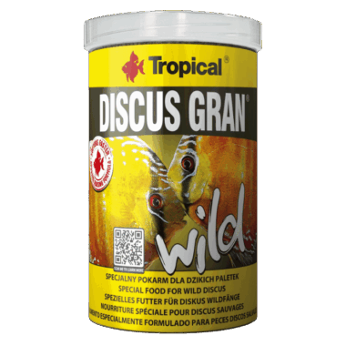 Diskusfutter