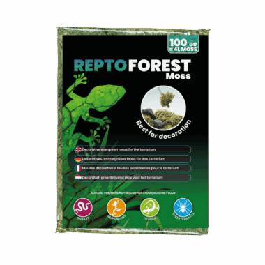 Forest Moos