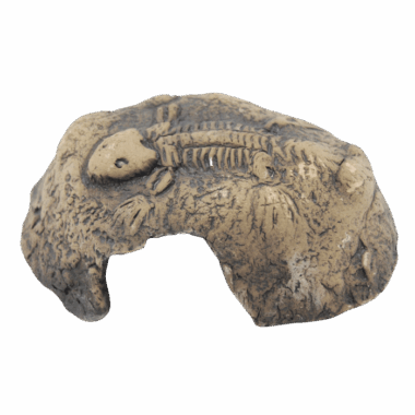 Fossilienhöhle für Aquaristik und Terraristik aus Keramik