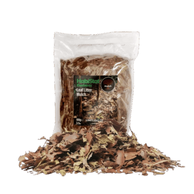 Blätter Mulch, Perfekt für wirbellose im Terrarium. Auch als Futterquelle