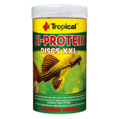 Protein Wafers