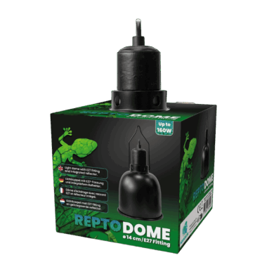 Lampendome von Repto