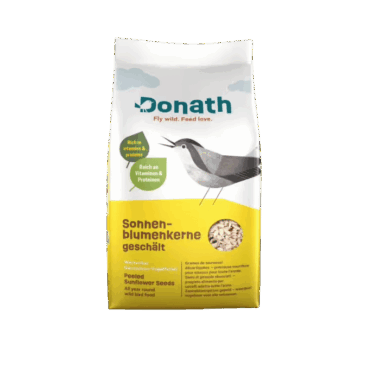 Sonnenblumenkerne