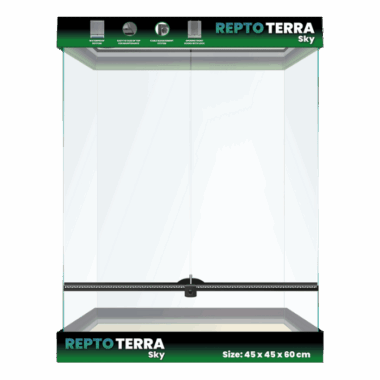 Repto Terra