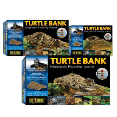 Turtle Dok