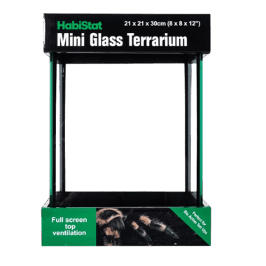 Kleines Habistat Terrarium