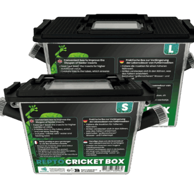 Cricket Boxen von Repto
