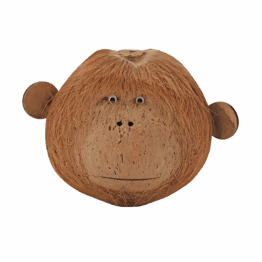 Coco Monkey