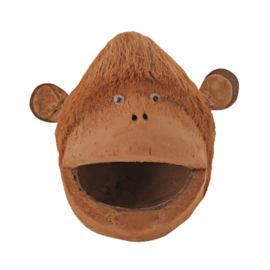 Coco Monkey