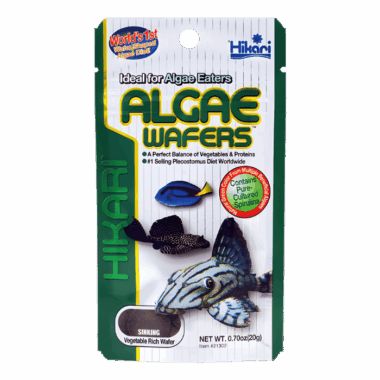 Algenwafers von Hikari