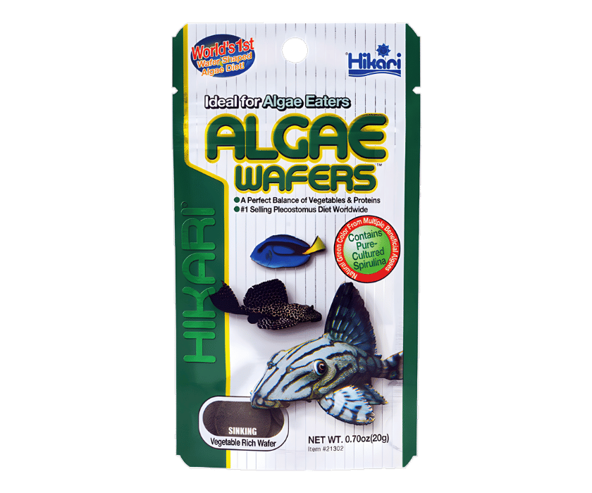 Algenwafers von Hikari