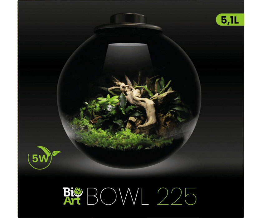 Bioart Bowl2