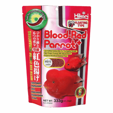 Das Papageienbuntbarsch Futter überhaupt!