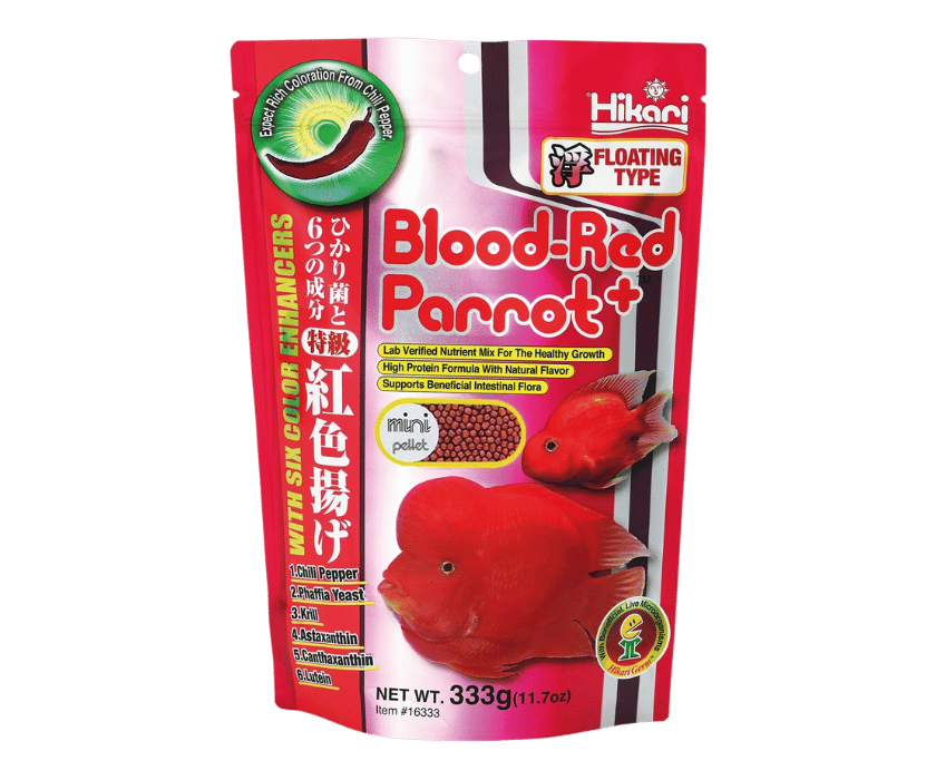 Das Papageienbuntbarsch Futter überhaupt!