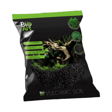 Bioart Soil