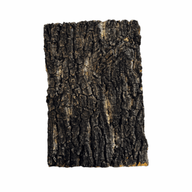 Kleine Korkplatte für Rückwand oder Deko im terrarium