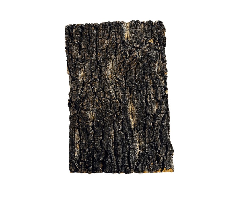 Kleine Korkplatte für Rückwand oder Deko im terrarium