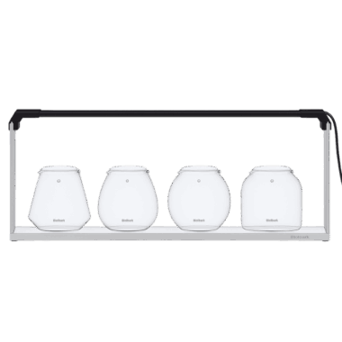 Bioloark Wabikusa-Bubblecup-Set LH02